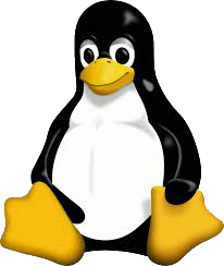 Linux System
